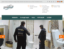 Tablet Screenshot of cozumtesisat.com